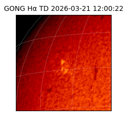 gong - 2026-03-21T12:00:22