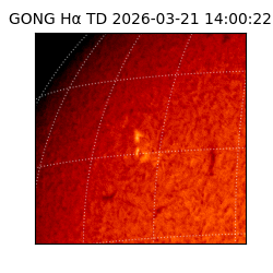 gong - 2026-03-21T14:00:22