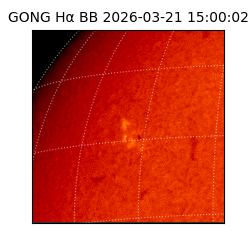 gong - 2026-03-21T15:00:02