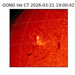 gong - 2026-03-21T19:00:42