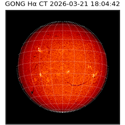 gong - 2026-03-21T18:04:42