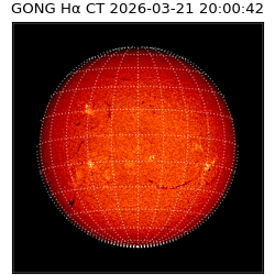 gong - 2026-03-21T20:00:42