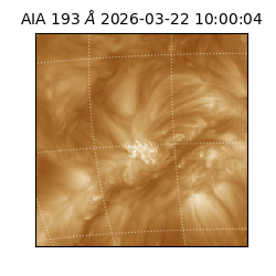 saia - 2026-03-22T10:00:04.842000