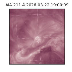 saia - 2026-03-22T19:00:09.624000