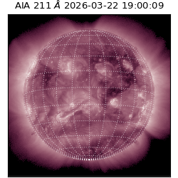 saia - 2026-03-22T19:00:09.624000