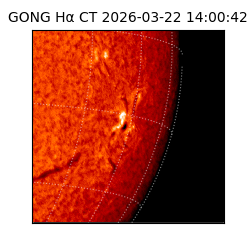 gong - 2026-03-22T14:00:42