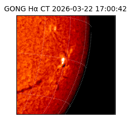 gong - 2026-03-22T17:00:42