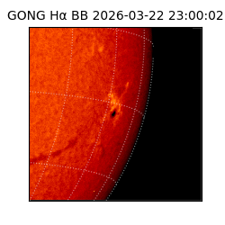 gong - 2026-03-22T23:00:02