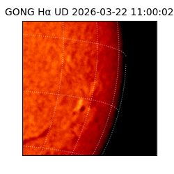 gong - 2026-03-22T11:00:02