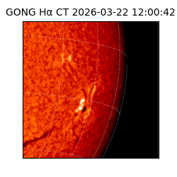 gong - 2026-03-22T12:00:42