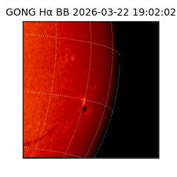gong - 2026-03-22T19:02:02