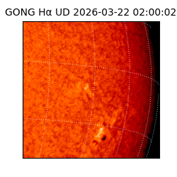 gong - 2026-03-22T02:00:02