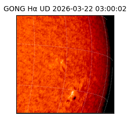 gong - 2026-03-22T03:00:02