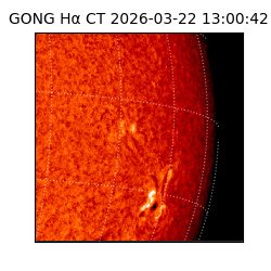 gong - 2026-03-22T13:00:42