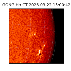 gong - 2026-03-22T15:00:42