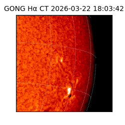 gong - 2026-03-22T18:03:42