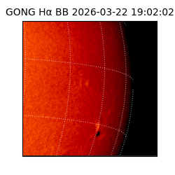 gong - 2026-03-22T19:02:02