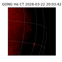 gong - 2026-03-22T20:03:42