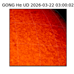 gong - 2026-03-22T03:00:02