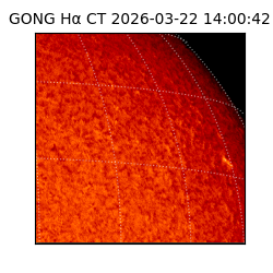 gong - 2026-03-22T14:00:42
