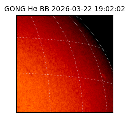 gong - 2026-03-22T19:02:02