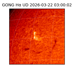 gong - 2026-03-22T03:00:02