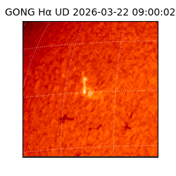 gong - 2026-03-22T09:00:02