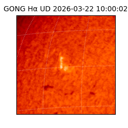 gong - 2026-03-22T10:00:02