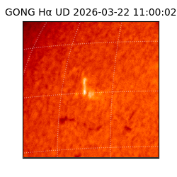 gong - 2026-03-22T11:00:02