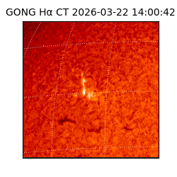 gong - 2026-03-22T14:00:42