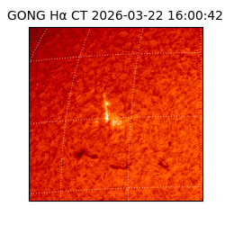 gong - 2026-03-22T16:00:42