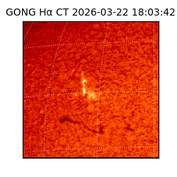 gong - 2026-03-22T18:03:42