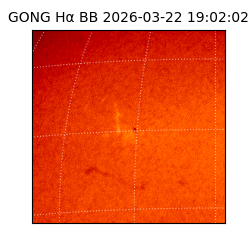 gong - 2026-03-22T19:02:02