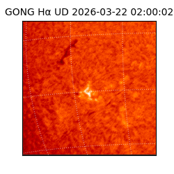 gong - 2026-03-22T02:00:02