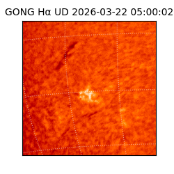 gong - 2026-03-22T05:00:02