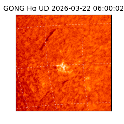 gong - 2026-03-22T06:00:02