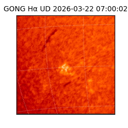 gong - 2026-03-22T07:00:02