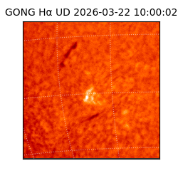 gong - 2026-03-22T10:00:02