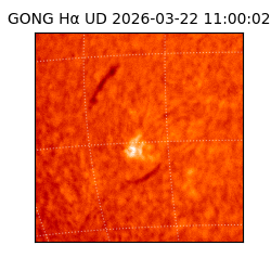 gong - 2026-03-22T11:00:02