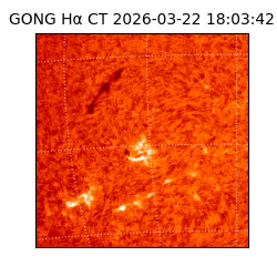 gong - 2026-03-22T18:03:42