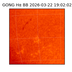 gong - 2026-03-22T19:02:02