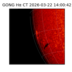 gong - 2026-03-22T14:00:42