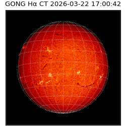 gong - 2026-03-22T17:00:42