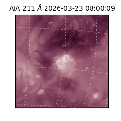 saia - 2026-03-23T08:00:09.624000