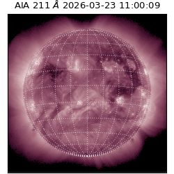 saia - 2026-03-23T11:00:09.637000