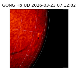 gong - 2026-03-23T07:12:02