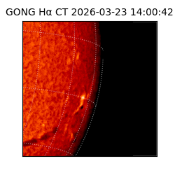 gong - 2026-03-23T14:00:42