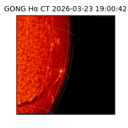 gong - 2026-03-23T19:00:42