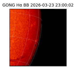 gong - 2026-03-23T23:00:02