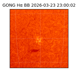gong - 2026-03-23T23:00:02